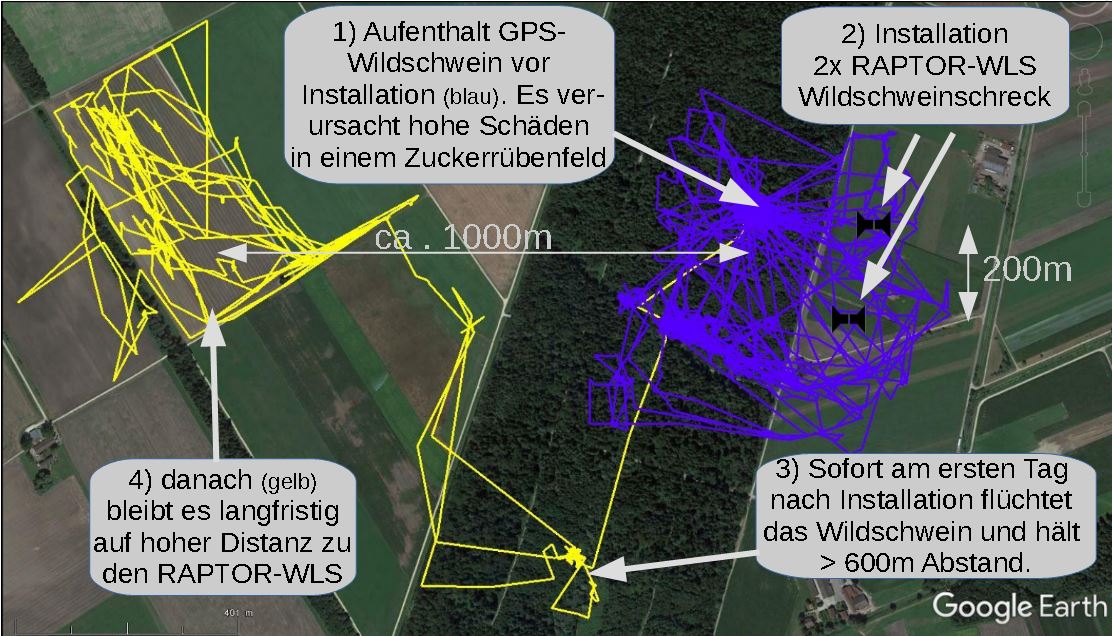 GPS-Wildschwein